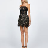 CARDY STRAPLESS OFF BODY MINI SAMPLE BL68D43S
