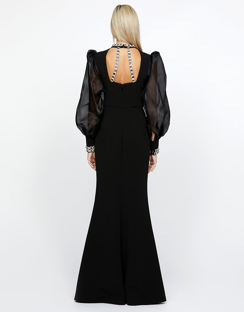 WINNIE SHEER SLEEVE GOWN B67D12L