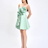 EMMALYN STRAPLESS ROSETTE MINI B81D23S